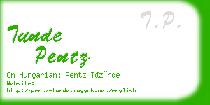 tunde pentz business card